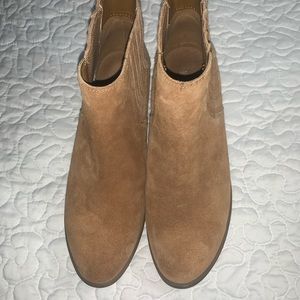 🔥🔥Franco Fortini🔥Zs9🔥Caqui🔥botines mujer🔥Gamuza🔥🔥🔥#CG77